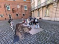 Wolontariusze zamkowi w akcji